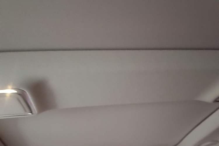 Used Mercedes-Benz S-Class 2020 S 350 L Business Class Ultimate Edition Headliner