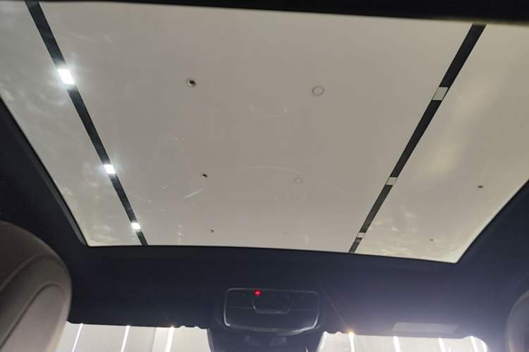 Used Mercedes-Benz S-Class 2020 S 350 L Business Class Ultimate Edition Headliner
