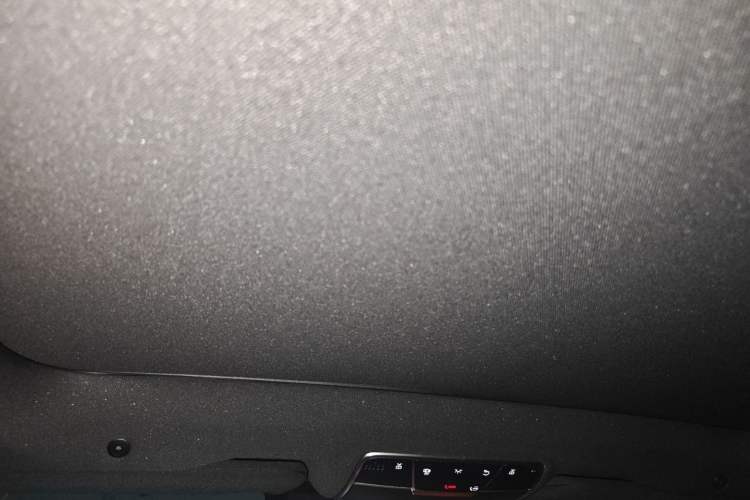 Used Mercedes-Benz S-Class 2020 S 350 L Business Class Ultimate Edition Headliner