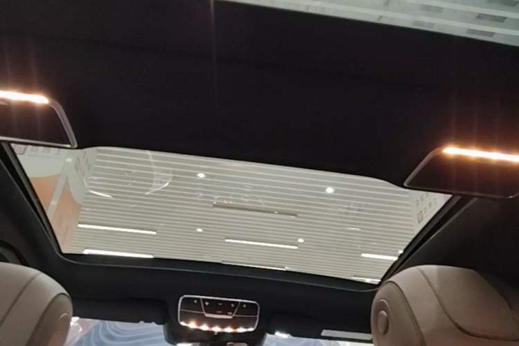 Used Mercedes-Benz S-Class 2020 S 350 L Business Class Ultimate Edition Headliner