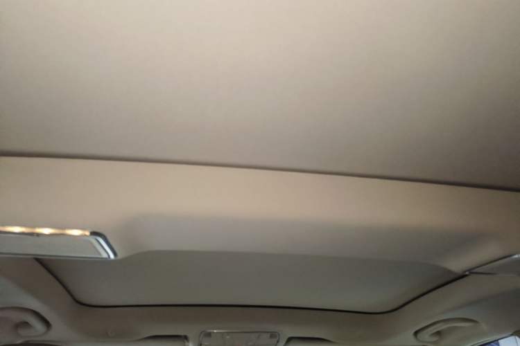 Used Mercedes-Benz S-Class 2020 S 350 L Business Class Ultimate Edition Headliner