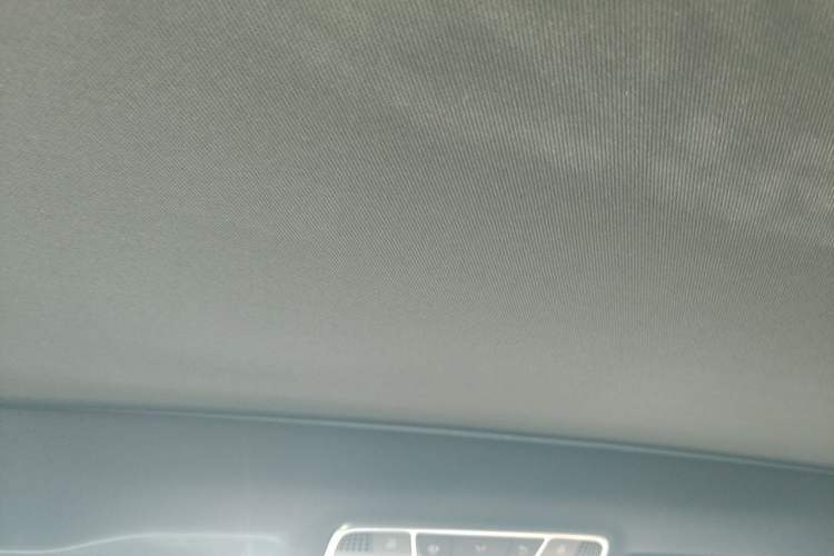 Used Mercedes-Benz S-Class 2020 S 350 L Business Class Ultimate Edition Headliner