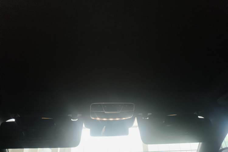 Used Mercedes-Benz S-Class 2020 S 350 L Exclusive Edition Prestige Collection Headliner