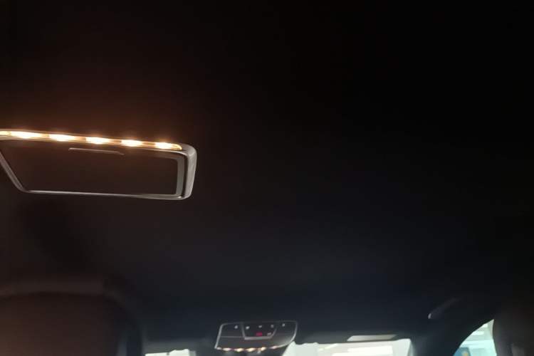 Used Mercedes-Benz S-Class 2020 S 350 L Exclusive Edition Prestige Collection Headliner