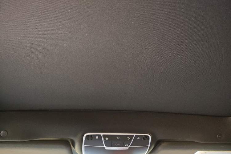 Used Mercedes-Benz S-Class 2020 S 350 L Business Class Ultimate Edition Headliner