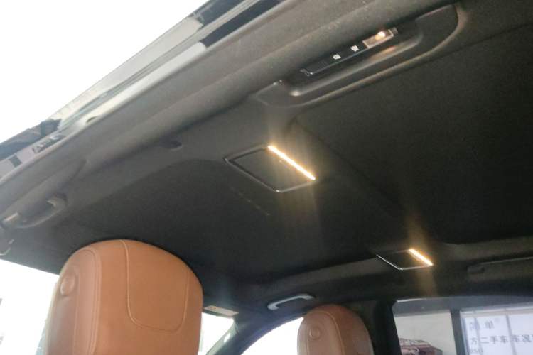 Used Mercedes-Benz S-Class 2020 S 350 L Business Class Ultimate Edition Headliner