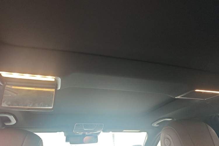 Used Mercedes-Benz S-Class 2020 S 350 L Business Class Ultimate Edition Headliner
