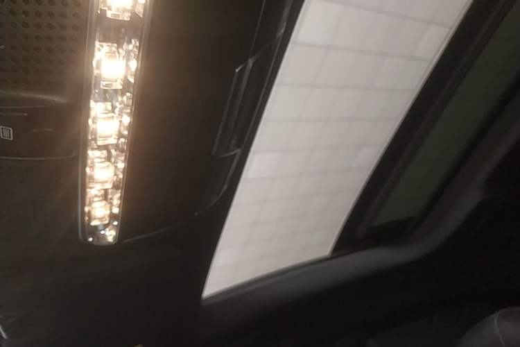 Used Mercedes-Benz S-Class 2020 S 350 L Business Class Ultimate Edition Headliner