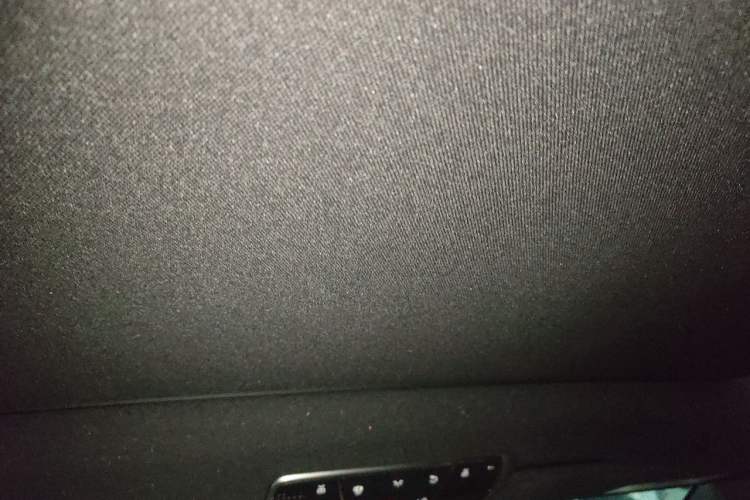 Used Mercedes-Benz S-Class 2020 S 350 L Business Class Ultimate Edition Headliner