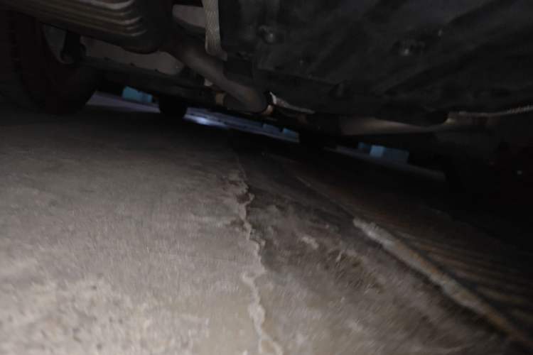 Used Mercedes-Benz S-Class 2021 S 450 L 4MATIC Chassis Rear