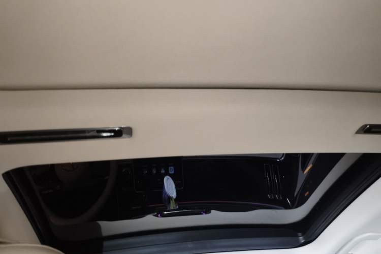 Used Mercedes-Benz S-Class 2021 S 400 L Luxury Model Headliner