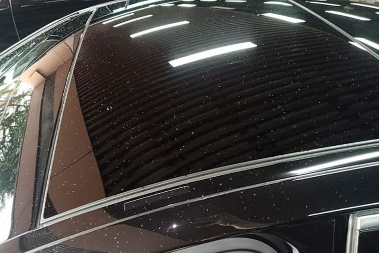 Used Mercedes-Benz S-Class 2021 S 450 L 4MATIC Roof