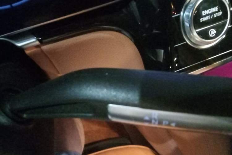 Used Mercedes-Benz S-Class 2022 S 450 L 4MATIC Gear Lever