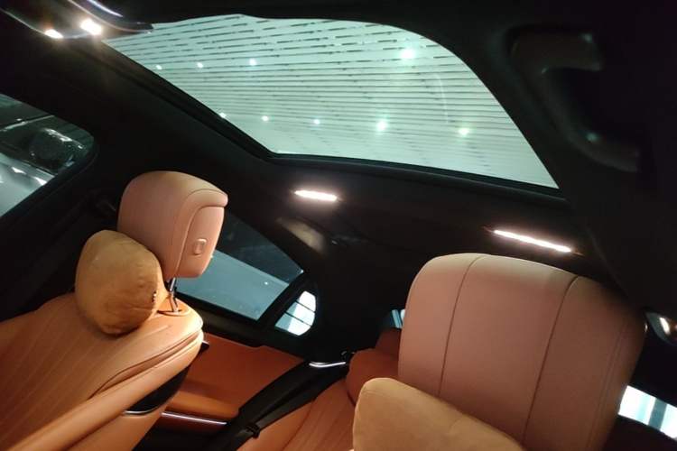 Used Mercedes-Benz S-Class 2022 S 450 L Headliner