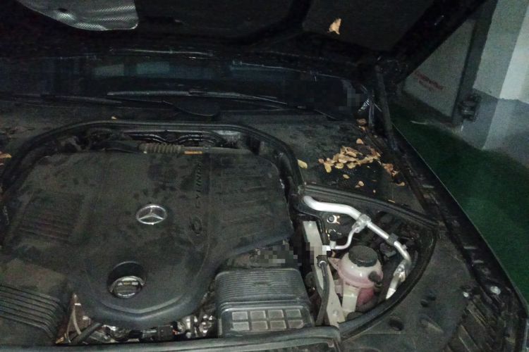 Used Mercedes-Benz S-Class 2023 Updated S 400 L Business Version Engine Bay Left