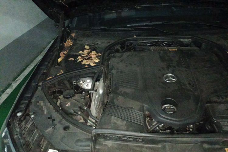 Used Mercedes-Benz S-Class 2023 Updated S 400 L Business Version Engine Bay Right