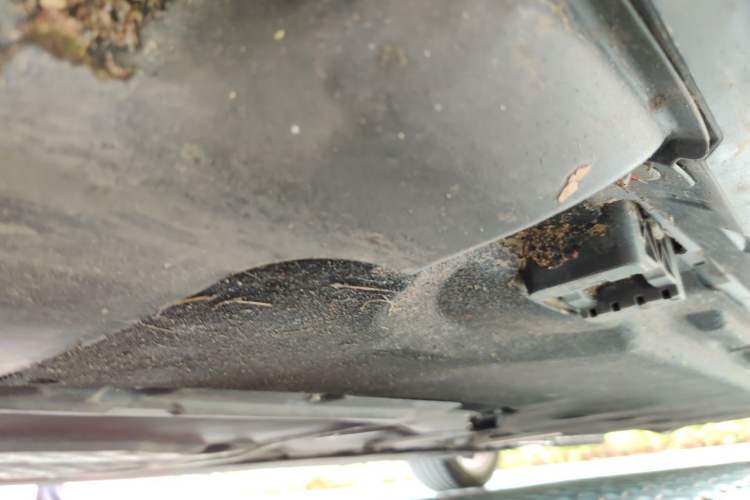 Used Mercedes-Benz S-Class 2024 S 400 L Business Model Chassis Front Left