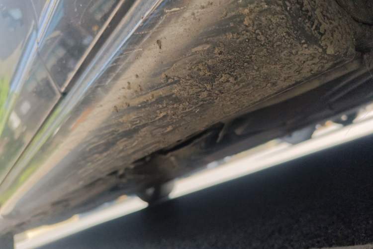 Used Mercedes-Benz S-Class AMG 2010 AMG S 65 Chassis Front Right
