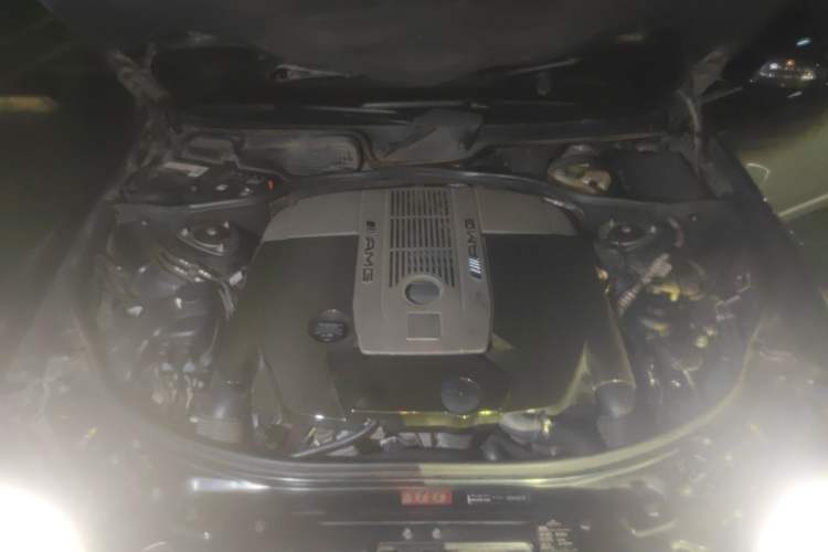 Used Mercedes-Benz S-Class AMG 2010 AMG S 65 Engine Bay