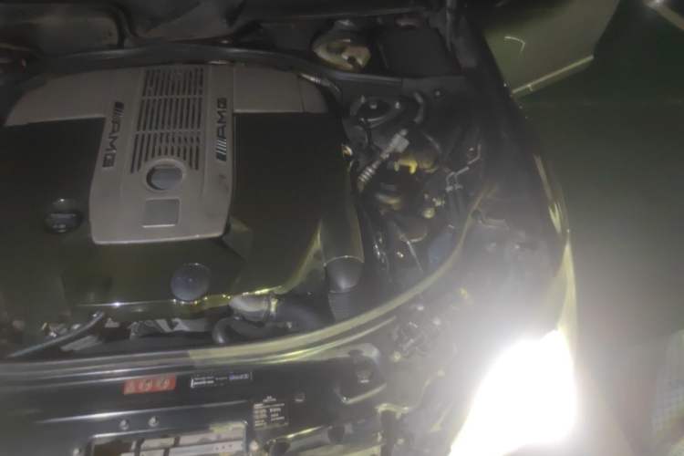 Used Mercedes-Benz S-Class AMG 2010 AMG S 65 Engine Bay Left