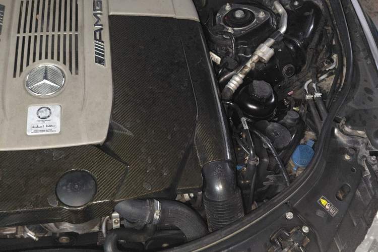 Used Mercedes-Benz S-Class AMG 2010 AMG S 65 Engine Bay Left