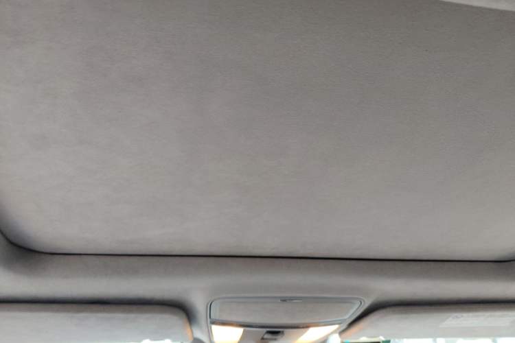 Used Mercedes-Benz S-Class AMG 2010 AMG S 65 Headliner