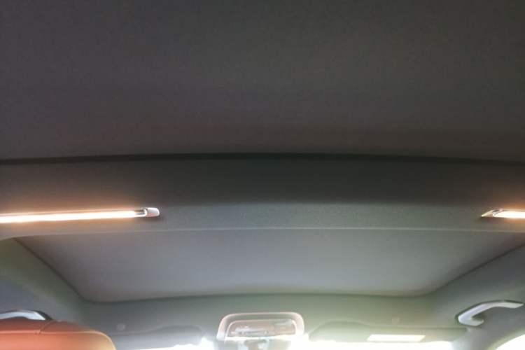 Used Mercedes-Benz S-Class New Energy 2023 S 450 e L Plug-in Hybrid Sedan Headliner