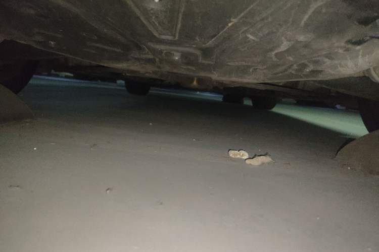 Used Mercedes-Benz SLC 2016 SLC 200 Fashion Model Chassis Rear