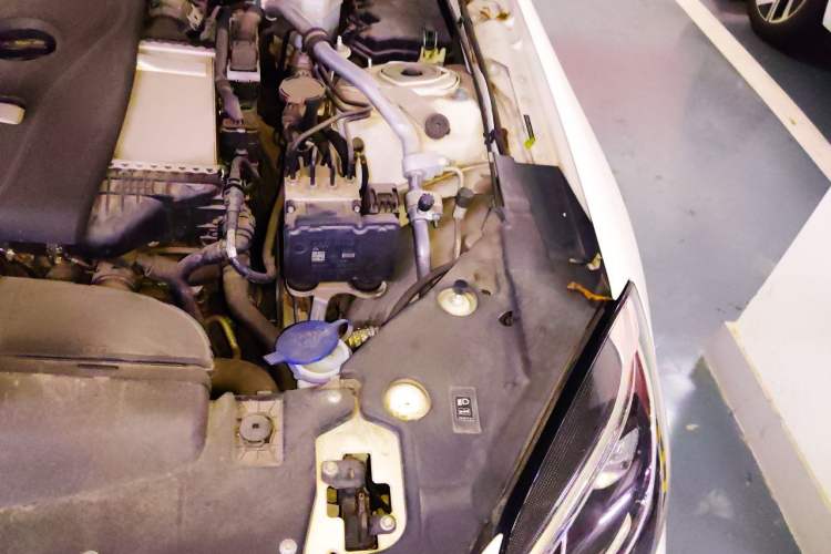 Used Mercedes-Benz SLC 2018 SLC 260 Dynamic Edition Engine Bay Left
