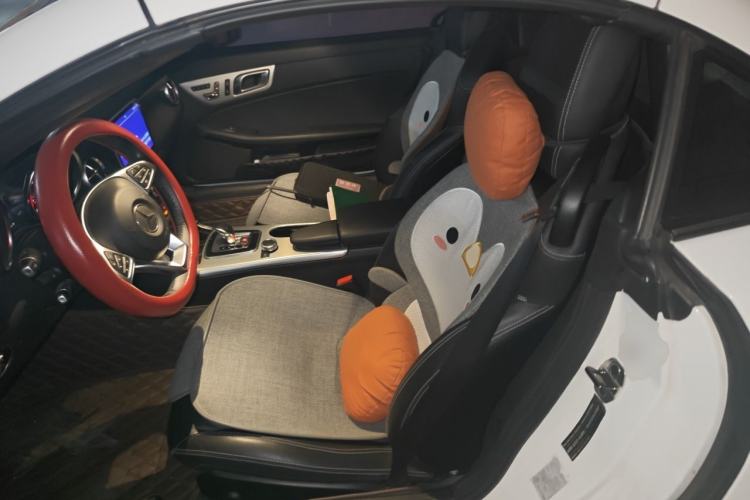 Used Mercedes-Benz SLC 2018 SLC 260 Dynamic Edition Left Rear Seat