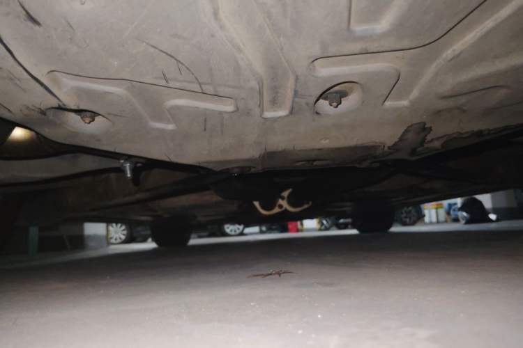 Used Mercedes-Benz SLK-Class 2004 SLK 350 Chassis Rear