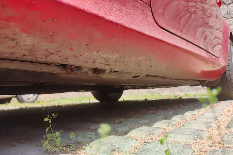 Used Mercedes-Benz SLK-Class 2010 SLK 200K Chassis Front Left
