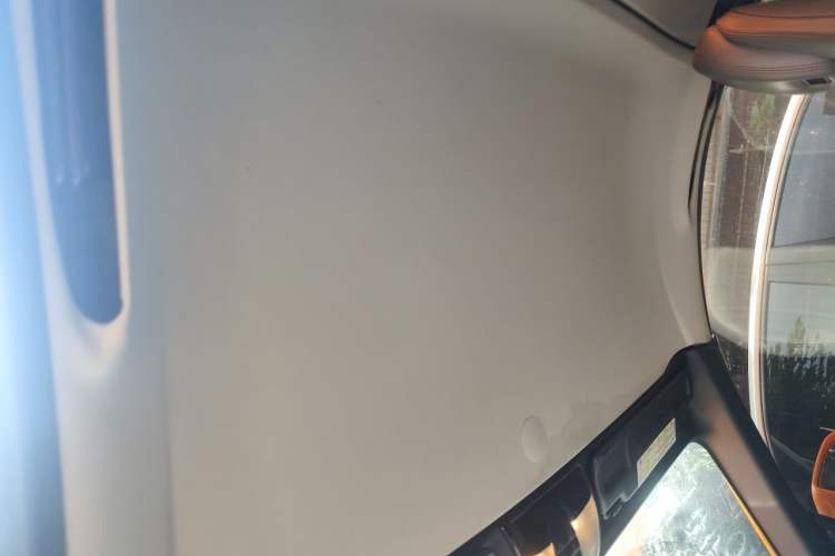 Used Mercedes-Benz SLK-Class 2010 SLK 300 Grand Edition Headliner