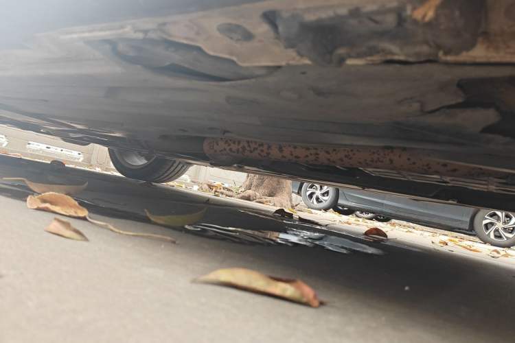 Used Mercedes-Benz SLK-Class 2011 SLK 200 Fashion Model Chassis Front Right