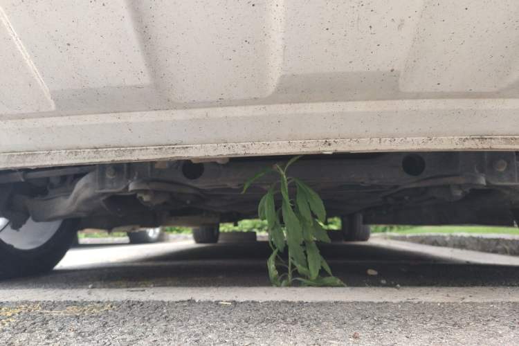 Used Mercedes-Benz Sprinter  Chassis Front
