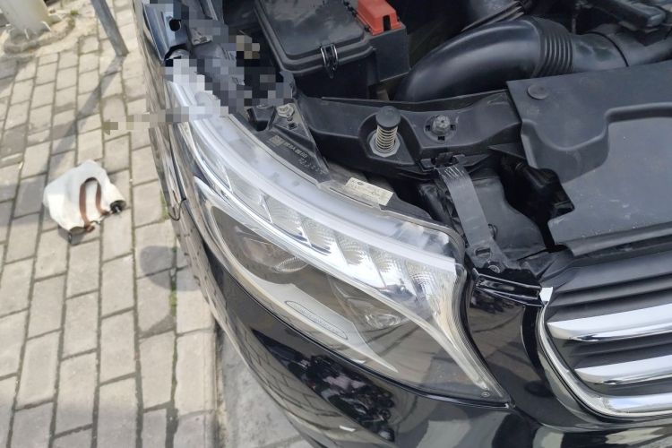 Used Mercedes-Benz V-Class 2016 V 260 L Prestige Extended Edition Engine Bay Right