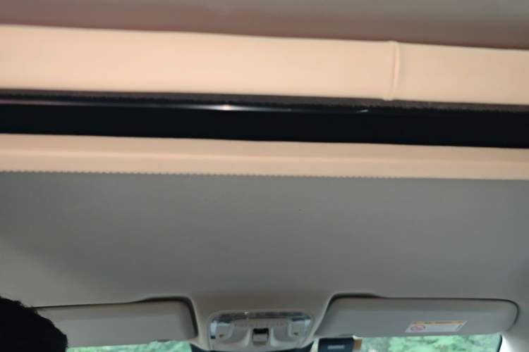 Used Mercedes-Benz V-Class 2017 V 260 L Prestige Extended Edition Headliner