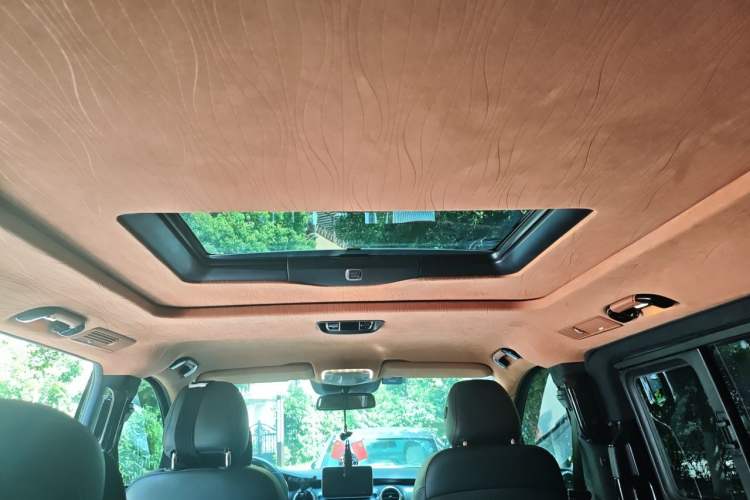 Used Mercedes-Benz V-Class 2017 V250 2.0T Base Model Headliner