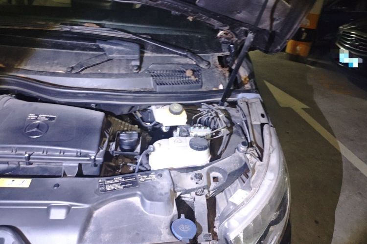 Used Mercedes-Benz V-Class 2018 V 260 Avantgarde Edition China VI Engine Bay Left