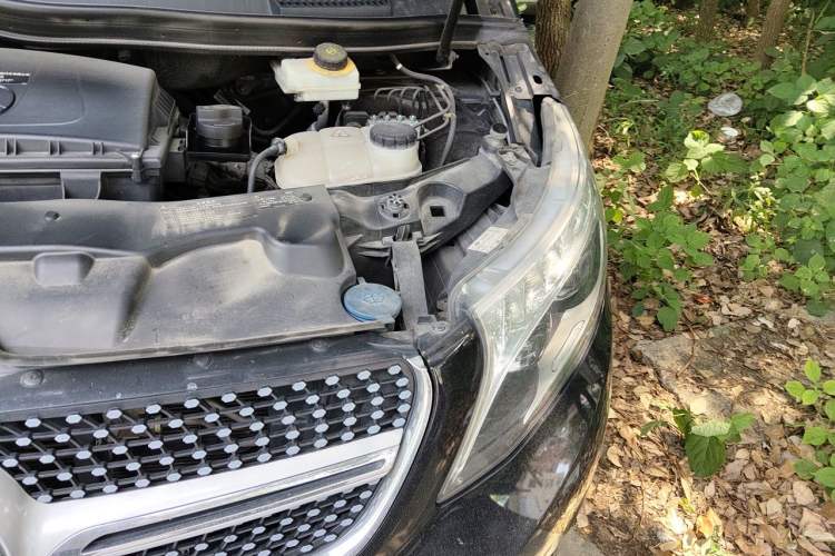 Used Mercedes-Benz V-Class 2018 V 260 Avantgarde Edition China VI Engine Bay Left