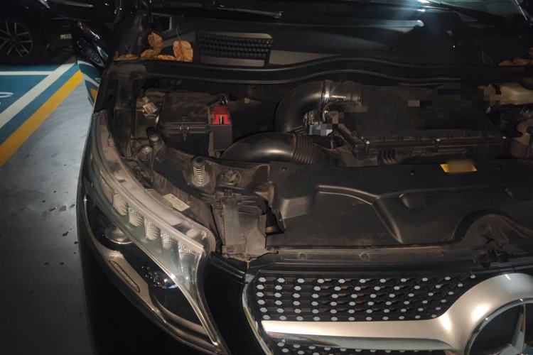 Used Mercedes-Benz V-Class 2020 V 260 Avantgarde Edition Engine Bay Right