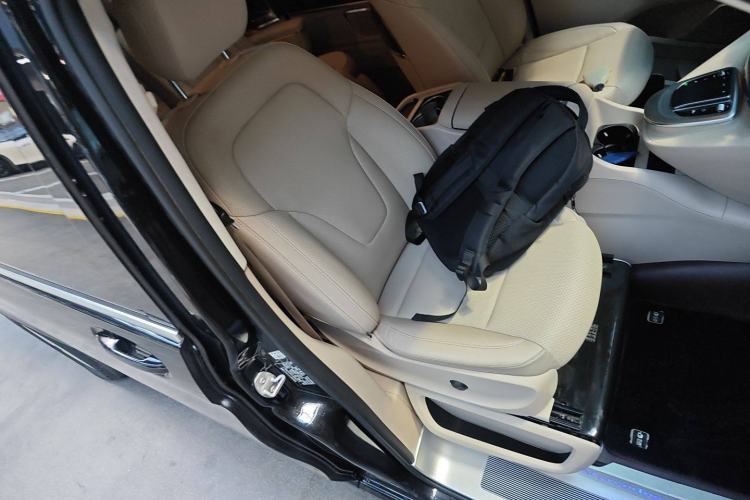 Used Mercedes-Benz V-Class 2020 V 260 L Long-wheelbase Luxury Edition Right Front Seat