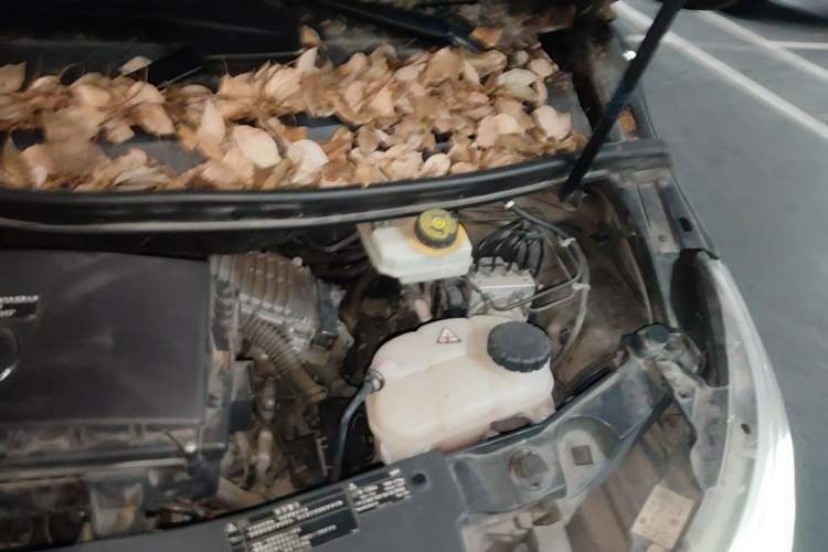 Used Mercedes-Benz V-Class  Engine Bay Left