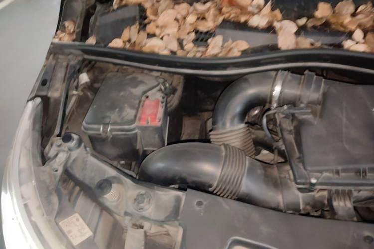 Used Mercedes-Benz V-Class  Engine Bay Right