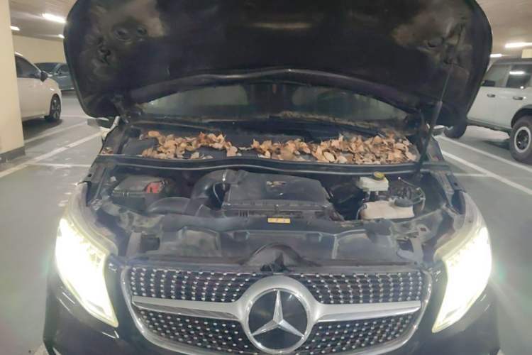 Used Mercedes-Benz V-Class  Engine Bay