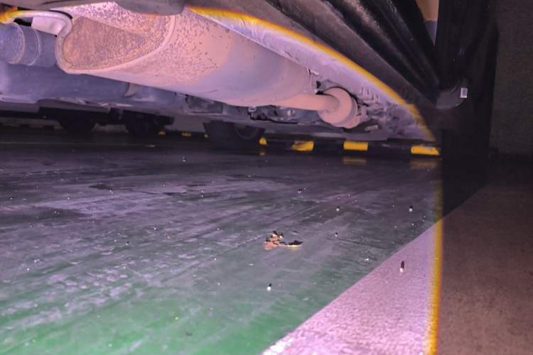 Used Mercedes-Benz V-Class 2021 V 260 Avantgarde Edition Chassis Rear Right