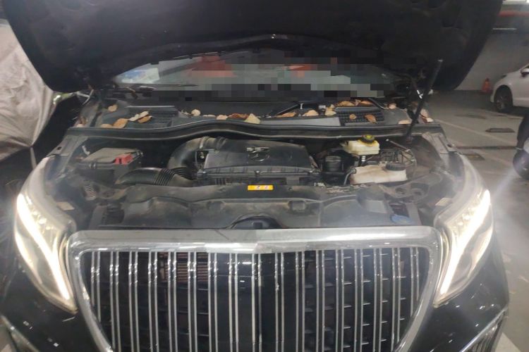 Used Mercedes-Benz V-Class 2021 V 260 L Long Wheelbase Prestige Edition Engine Bay