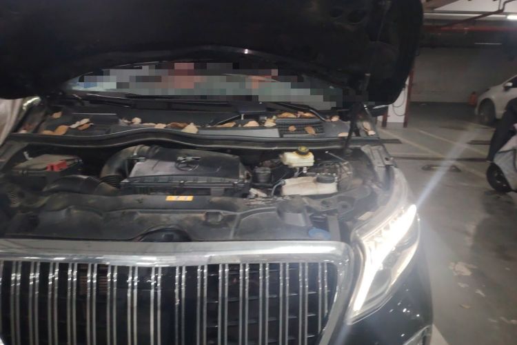 Used Mercedes-Benz V-Class 2021 V 260 L Long Wheelbase Prestige Edition Engine Bay Left