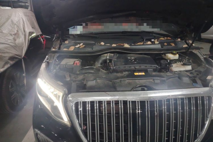 Used Mercedes-Benz V-Class 2021 V 260 L Long Wheelbase Prestige Edition Engine Bay Right