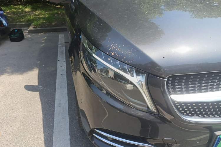 Used Mercedes-Benz V-Class 2022 V 260 L Long-wheelbase Luxury Edition Right Front Headlight